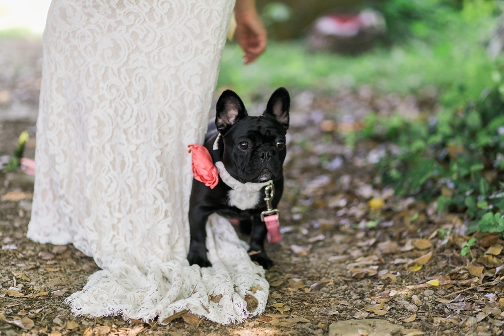 Party Pooches: Tips for having your dog in your bridal party
